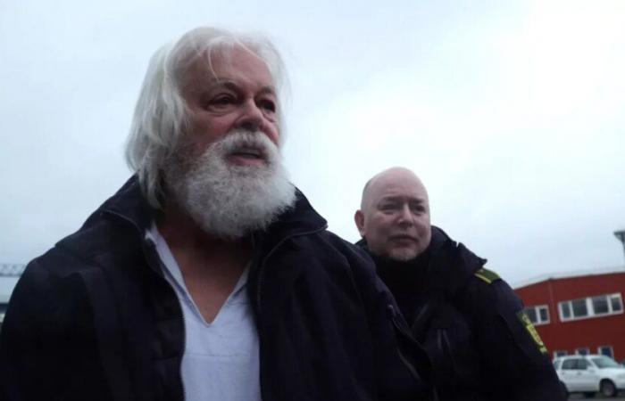 Sea Shepherd founder Paul Watson seeks political asylum in France