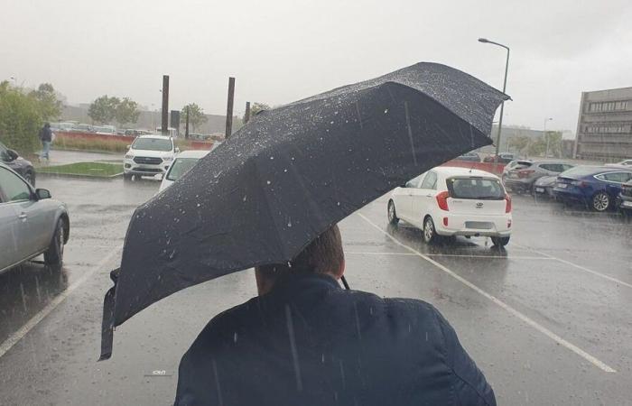 Rain-flood: the departments of Ile-de-France, with the exception of Seine-et-Marne, placed on orange vigilance