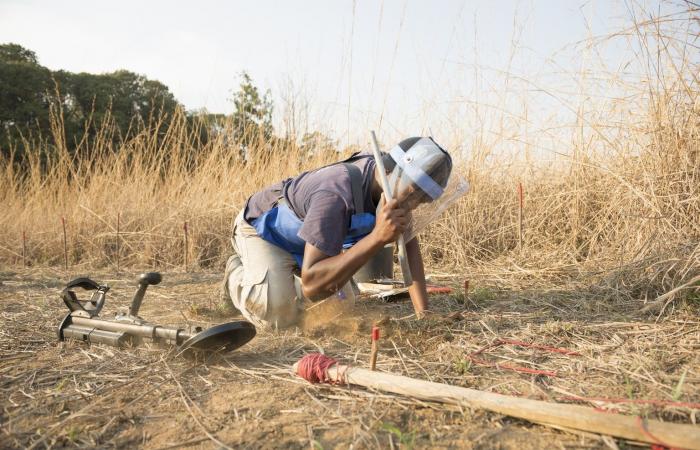 Mine clearance: Ukraine has already lost