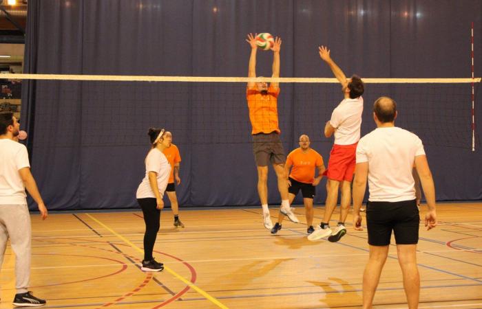 VOLLEY BALL: Framatome ahead of Alstom, Safranc and Industeel for the opening of the Inter-company Challenge