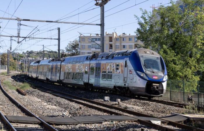 Train traffic between Toulouse and Auch disrupted until October 22