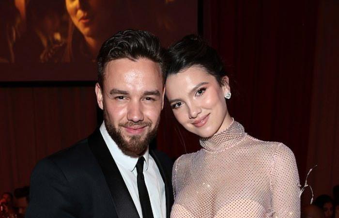 Maya Henry calls in the lawyers as she begins legal action against Liam Payne after accusing the One Direction star of obsessive contact and ‘weaponising’ his fans against her