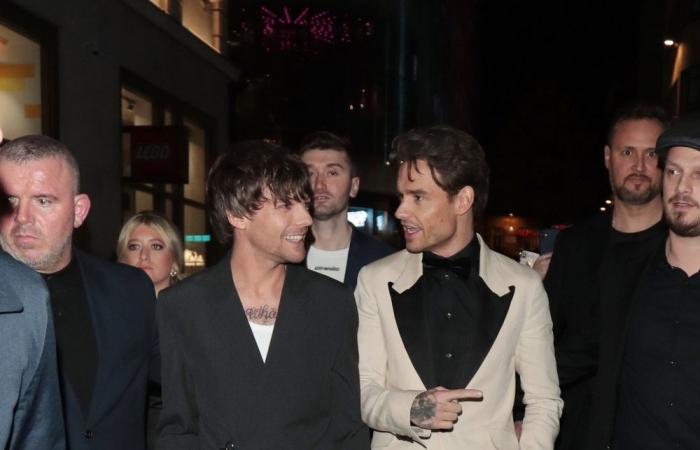 Liam Payne and Louis Tomlinson’s Friendship Timeline