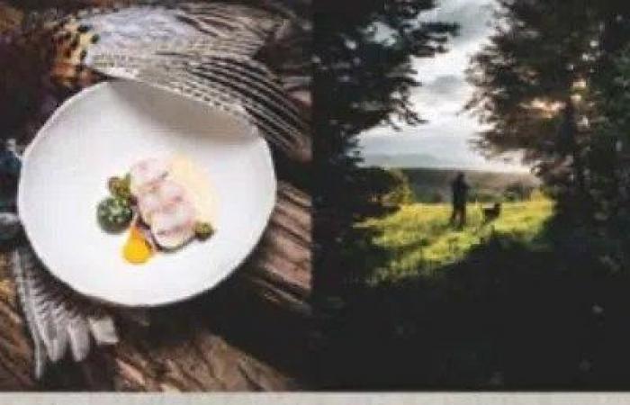 New book “Olivier Nasti Cook Hunter” • Les Nouvelles Gastronomices