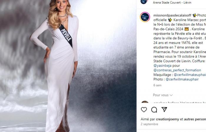 Miss Nord – Pas-de-Calais: who are the 17 misses competing to succeed Ève Gilles?