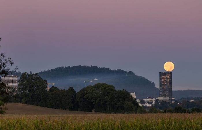 Supermoon and comet appear in the sky at the same time: the most important answers – News