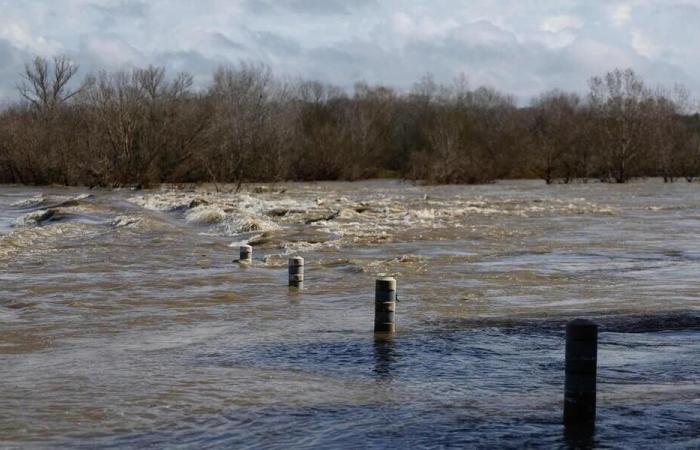 Bad weather: 17 people fined in Gard for forced passages on a closed bridge