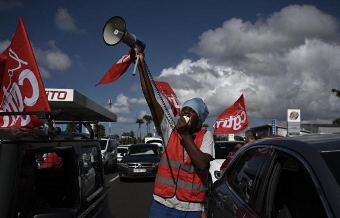 France: In Martinique, an agreement for a reduction in food prices