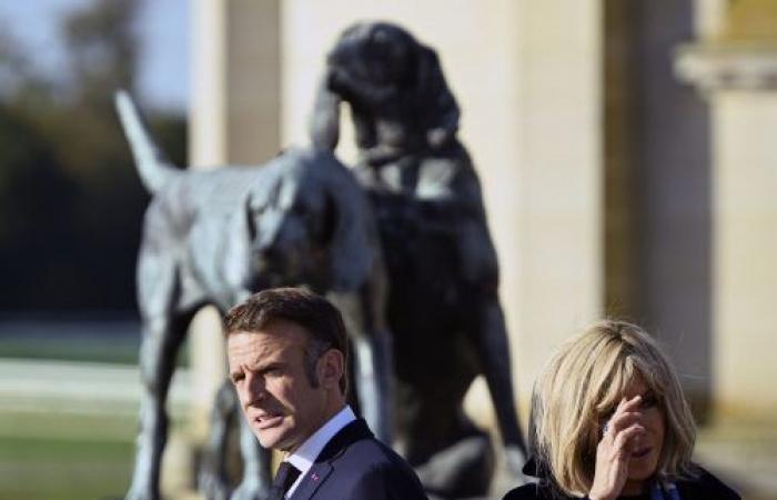 this fashion piece with very French colors, which Emmanuel Macron’s wife never takes off