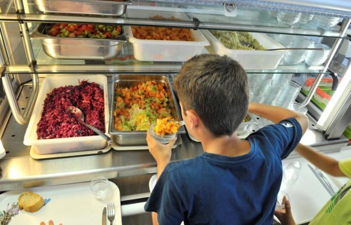 Here is why the price of school canteens will increase in Loiret in 2025