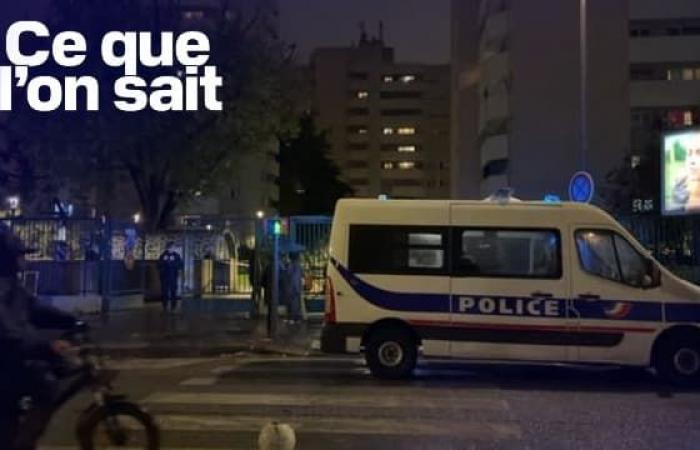 what we know about the death of a man killed by a falling tree in the 19th arrondissement