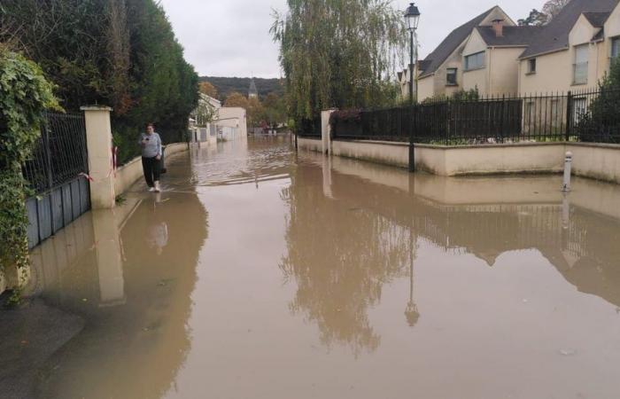 “It’s really a lot, we can’t take it anymore”: in Saint-Rémy-lès-Chevreuse, residents flooded a second time