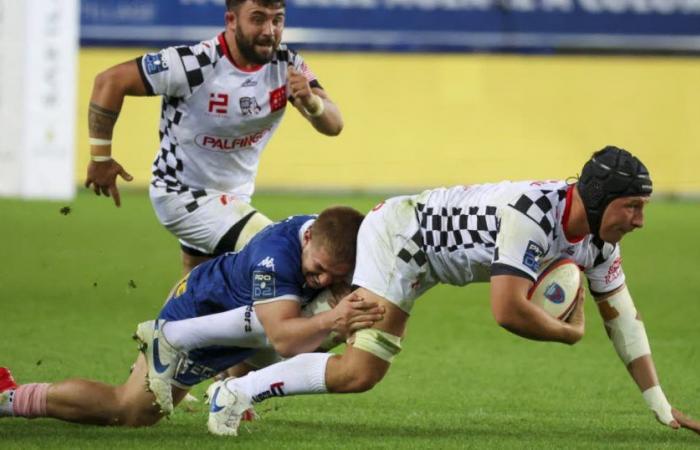 Rugby – Pro D2. “Our backs are against the wall”, preserved lawn… What you need to know before VRDR