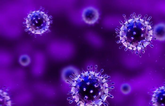 Thanks to artificial intelligence, researchers discover 70,500 new viruses