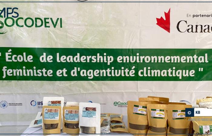 SENEGAL-ENVIRONNEMENT / Bignona: launch of the “School of feminist environmental leadership and climate agency” program – Senegalese press agency