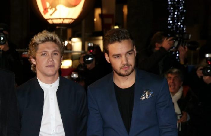 Death of Liam Payne: crestfallen, Niall Horan of One Direction makes a first appearance since the tragedy