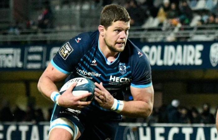 after a new concussion, Montpellier’s Paul Willemse was put on leave for three months