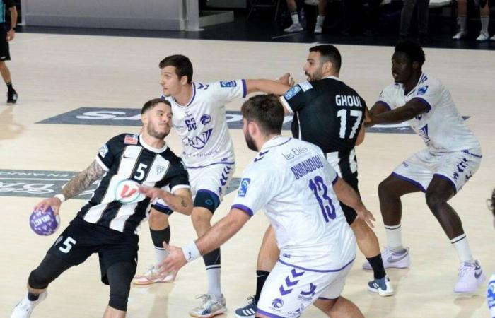 Handball. Four-point match at the stud for Angers-SCO