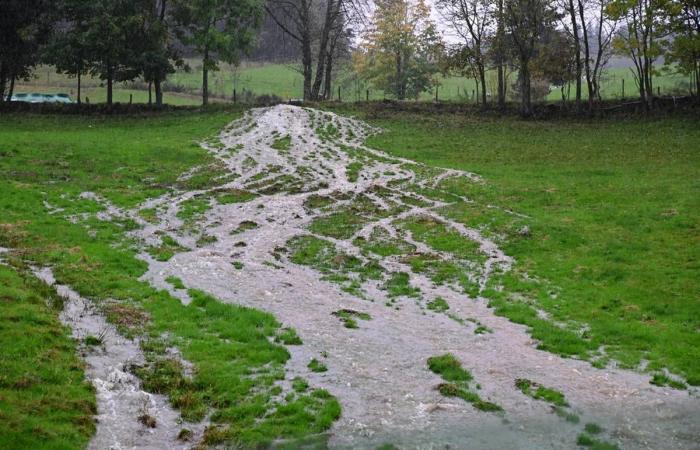 In Haute-Loire, the most significant floods recorded since 2008