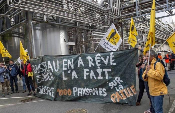 the Peasant Confederation invites itself to the Lactalis factory in Retiers