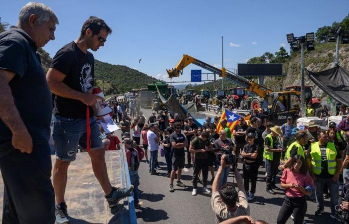 “Disgusted” after the visit of Minister Annie Genevard, farmers in the Pyrénées-Orientales threaten to “block everything”