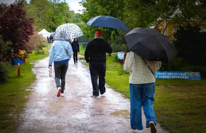 what is the weather like in the Marne for this first weekend of the All Saints’ Day holidays?