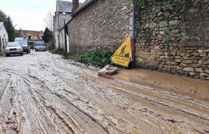 The Chevreuse valley and the south of Yvelines under water, residents in complete disarray