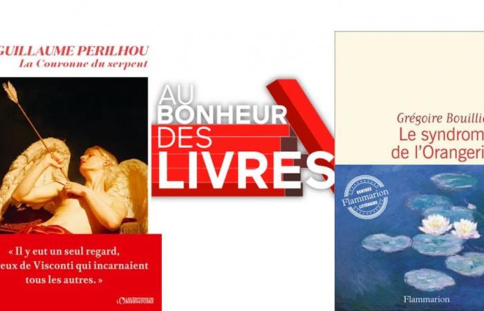 Au Bonheur des Livres, when art and cinema reveal their mysteries