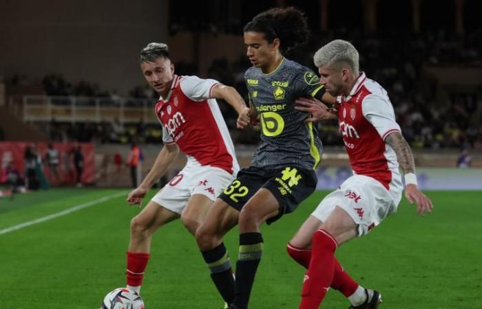 DIRECT. Monaco – Lille: even with numerical superiority, the Mastiffs suffer