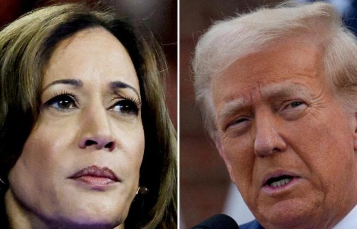 Donald Trump crushes Kamala Harris in the key state of Michigan