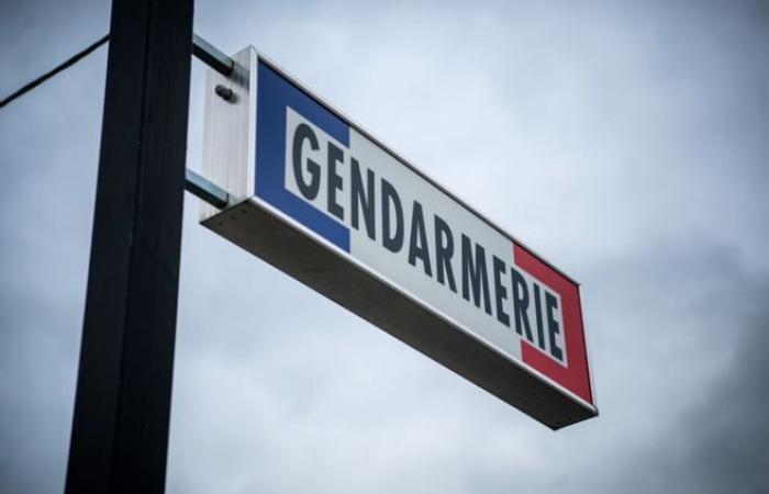 Yvelines: 21 years after the strange disappearance of a woman, the gendarmerie reopens the investigation