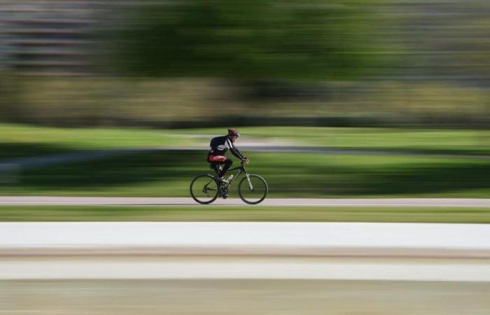 Cyclist crushed in Paris: the suspect does not see murder and depicts the victim as an “animal”