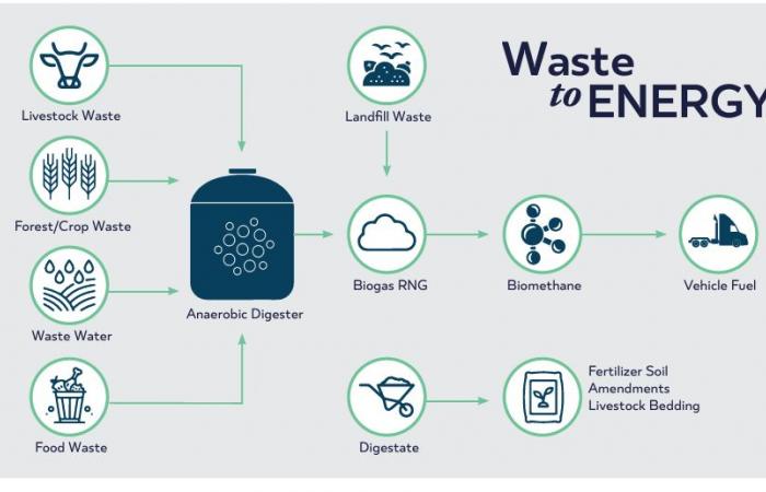 RNG supporters worry the clean fuel isn’t getting fair treatment