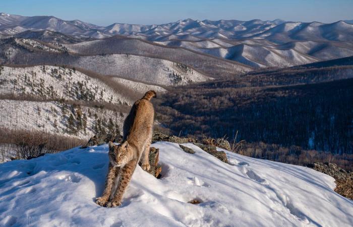 the most beautiful award-winning nature photos