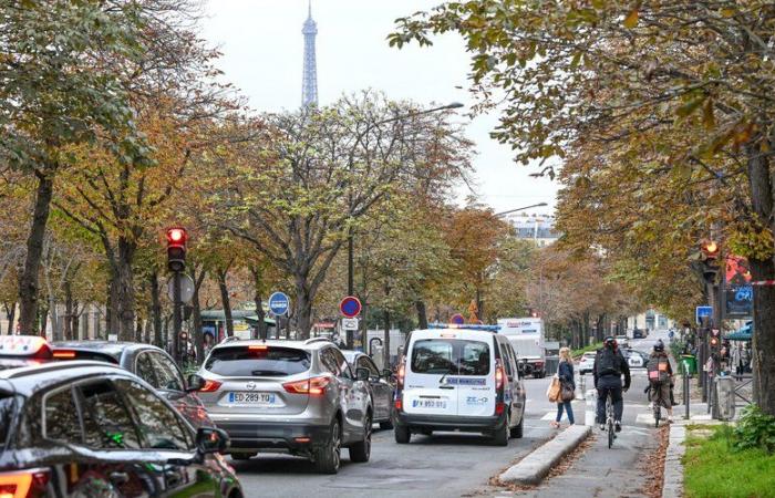 Death of a young cyclist in Paris: the motorist indicted for murder