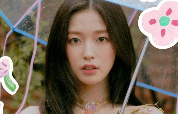 Arin (OH MY GIRL) wins a lawsuit against a video game company and an advertising company who refused to pay her – K-GEN