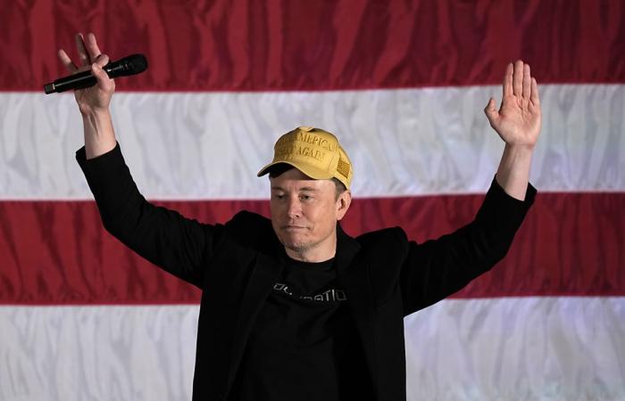 Musk holds town hall meetings to support Trump