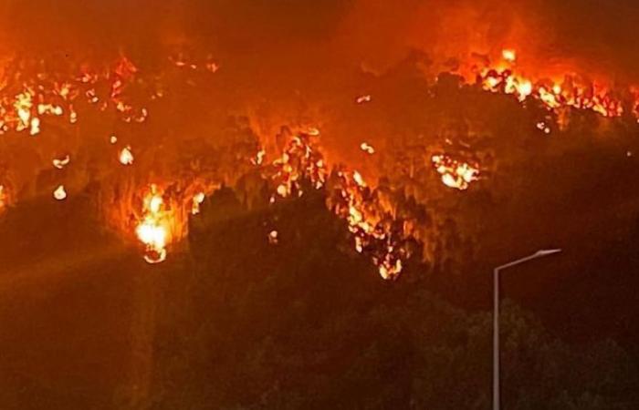 Two residents of Loiret are mobilizing to help those affected by the fires in Portugal