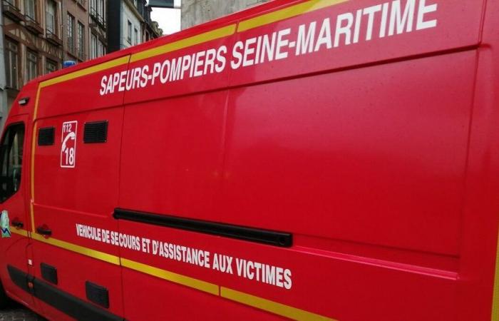 Seine-Maritime: a heavy goods vehicle carrying hydrocarbons catches fire, the A28 cut in both directions