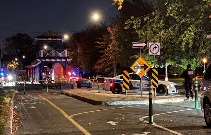 Armed attack in a Montreal park: 3 injured, including one serious