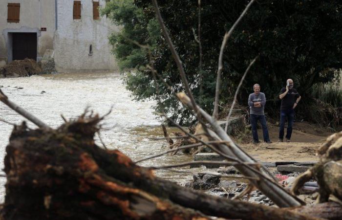 Floods: Ardèche, Lozère, Gier valley… Météo France takes stock, here is where the rainfall accumulations were the most impressive