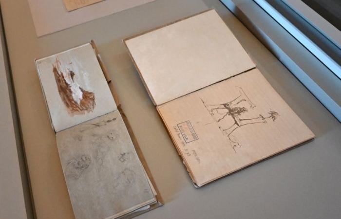 Toulouse-Lautrec’s moving school notebooks: a unique exhibition reveals the painter’s childhood drawings