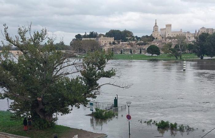 The Rhône has reached its peak in Avignon, several axes remain closed to traffic