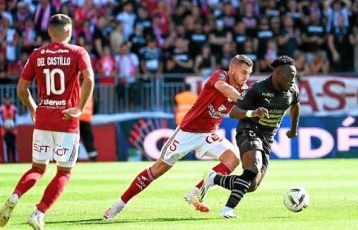 Brest – Rennes: between Stade Brestois and Stade Rennais, a rivalry now apart