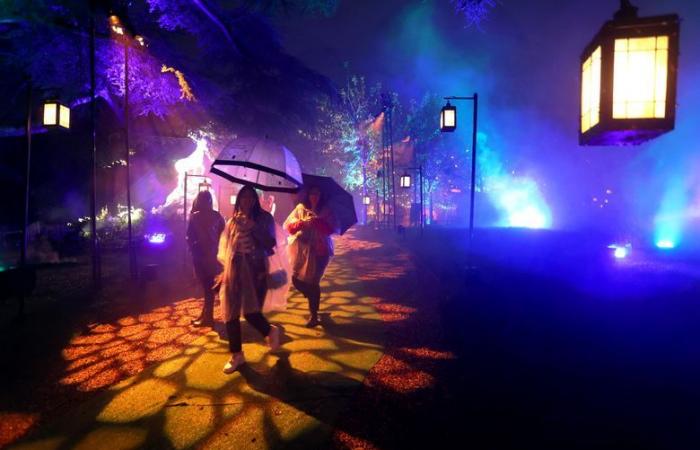 VIDEO. Harry Potter event in Montauban: we tested the forbidden forest for you