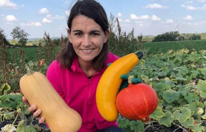 LIVE VIDEO. Squashes, pumpkins, pumpkins… Our garden expert answers all your questions