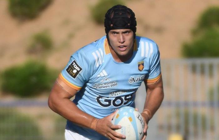 Top 14 – USAP: Adrien Warion, a young man with the appearance of an old man