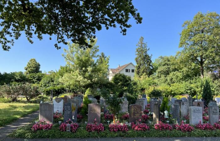 Tony Marinaro calls in a cemetery