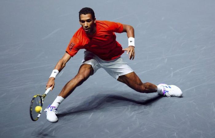 Félix Auger-Aliassime loses in Belgium, Diallo continues his journey in Kazakhstan