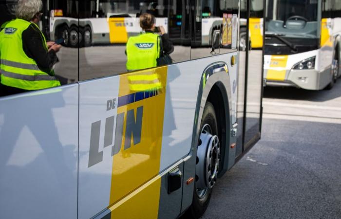 The De Lijn bus strike continues this Friday: here are the affected areas